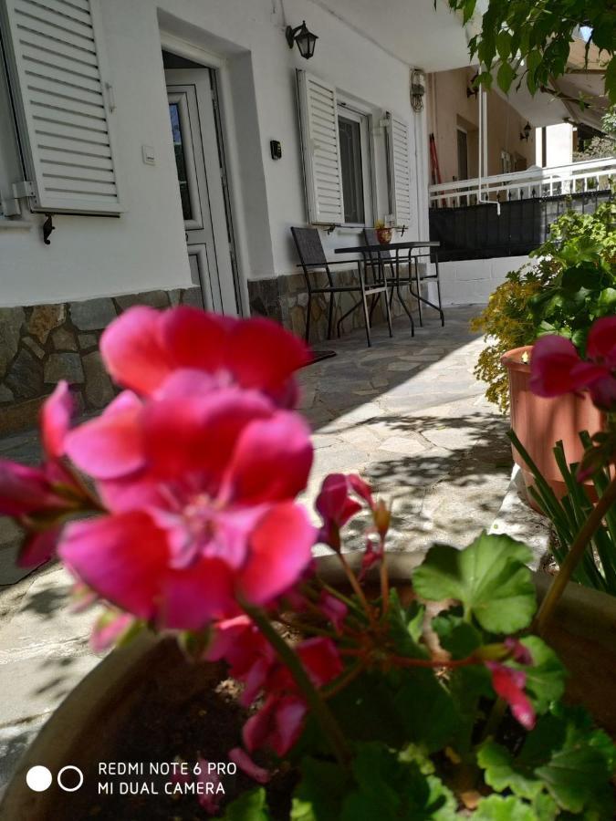 Chrysanty'S Tea House Apartman Kalambáka Kültér fotó