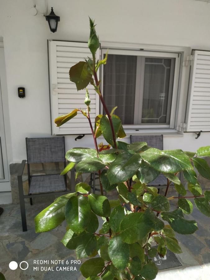 Chrysanty'S Tea House Apartman Kalambáka Kültér fotó