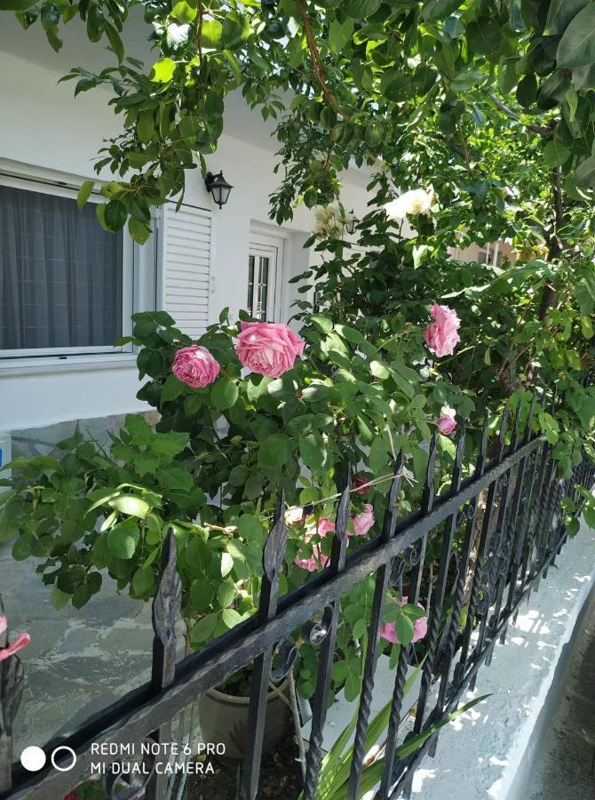 Chrysanty'S Tea House Apartman Kalambáka Kültér fotó