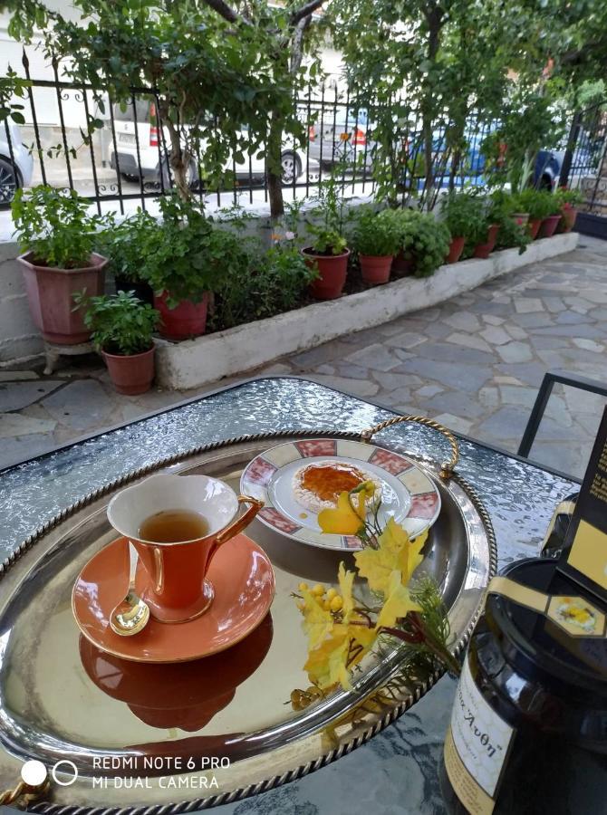Chrysanty'S Tea House Apartman Kalambáka Kültér fotó