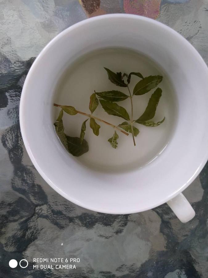 Chrysanty'S Tea House Apartman Kalambáka Kültér fotó