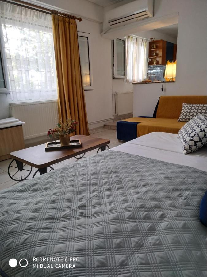 Chrysanty'S Tea House Apartman Kalambáka Kültér fotó