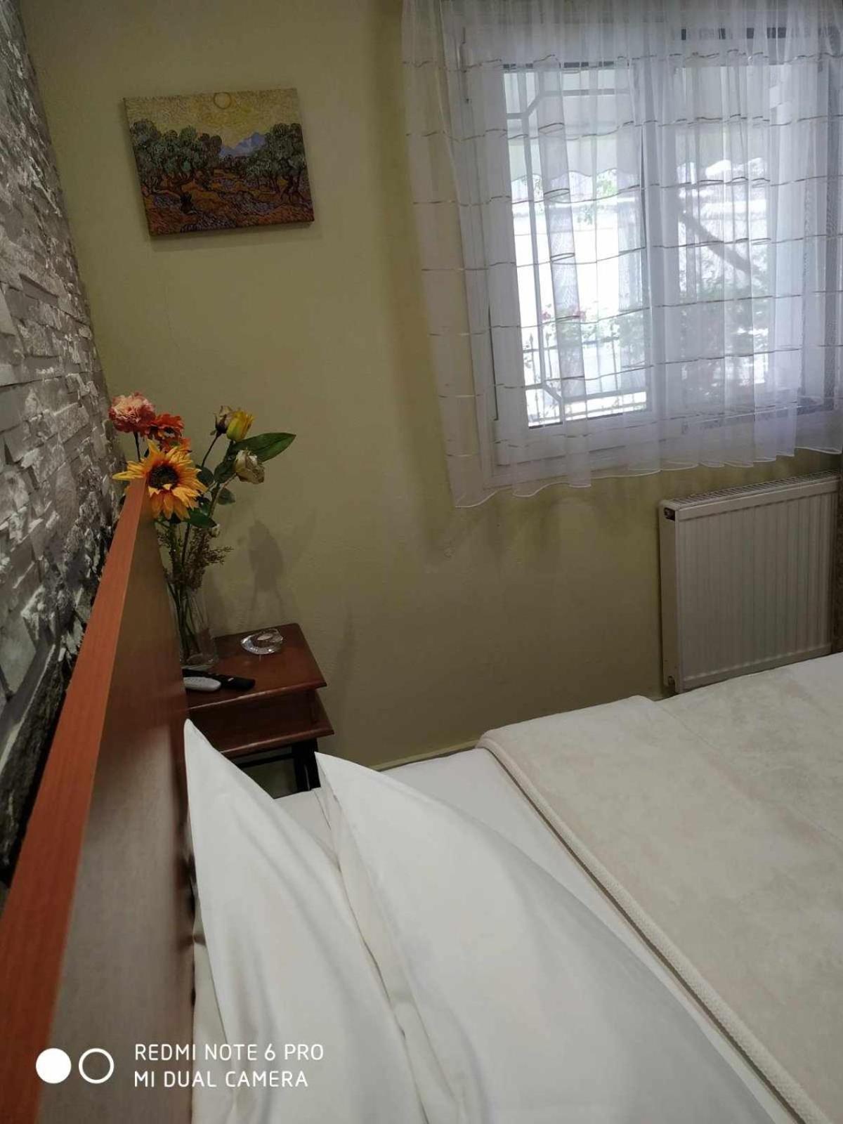 Chrysanty'S Tea House Apartman Kalambáka Kültér fotó