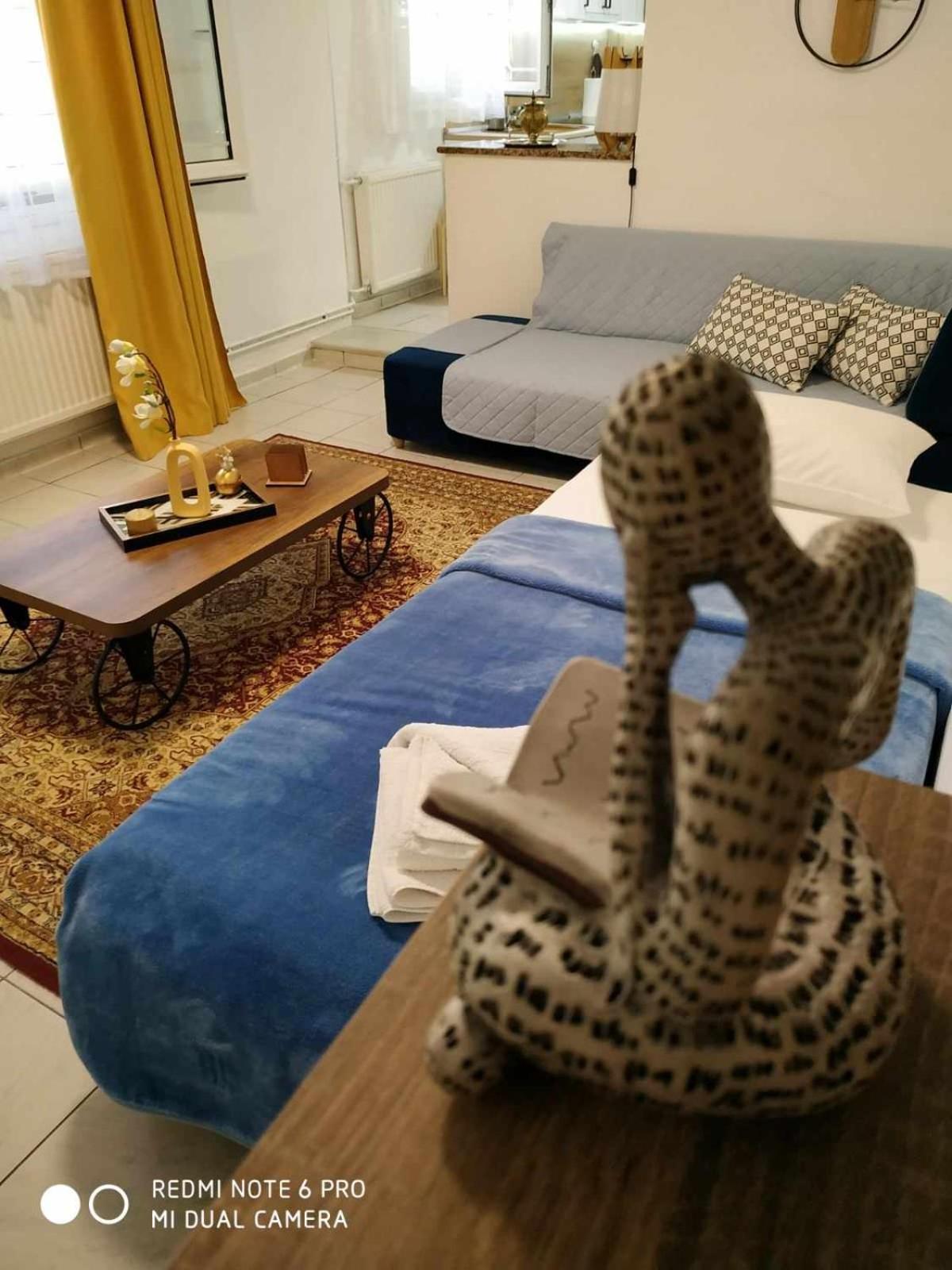 Chrysanty'S Tea House Apartman Kalambáka Kültér fotó
